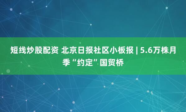 短线炒股配资 北京日报社区小板报 | 5.6万株月季“约定”国贸桥